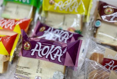 Cara Jadi Distributor Roti Aoka, Makanan Viral yang Bisa Jadi Ladang Cuan Menjanjikan Buat Toko Kelontongmu 