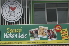 Daftar Harga Franchise Pecel Lele Lela Terbaru 2023, Simak Berikut Pilihan Paketnya yang Tersedia!