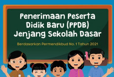 Jadwal Pendaftaran PPDB Online SD Negeri TA 2024/2025, Sudah RIlis! Cek Disini Pengumaman dari DIKTI