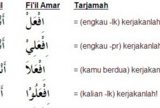Kumpulan Contoh Fiil Amar dan Penjelasan Singkatnya, Mempermudah Belajar Ilmu Nahwu