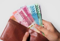 Cair! Gaji dan Tunjangan PNS PPPK 2025, Naik 8 Persen, Ini Rincian Lengkapnya Berdasarkan Golongan 