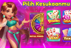 Bongkar Chip Royal Domino 24 Jam Termurah 2024, Pilih Room Kesukaanmu dan Menangkan Grand JP