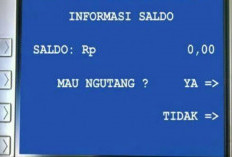 Cek Daftar Pinjaman Online Ilegal yang Masih Aktif Desember 2023 Ini, Bikin Masyarakat Makin Hobi Ngutang 