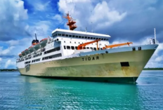 Jadwal Kapal Laut Tidar Mei 2023, Perjalanan Makassar – Nabire Dipecah Jadi 4 Rute Pelayaran