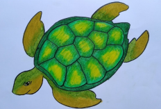 Gambar Mewarnai Kura-kura dengan Crayon Unik dan Menarik, Bisa Jadi Contoh Untuk Tugas!