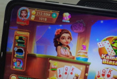 Top Up Chip Higgs Domino 100M Di Itemku Murah Via DANA Terbaru 2024, Gini Rahasianya 