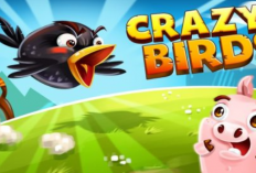 Apakah Crazy Bird APK Penghasil Uang Penipuan? Ketaui Cara Kerjanya Dulu Disini Yuk!