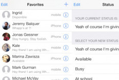 Link Download WhatsApp iOs V9 2024 Buat Tampilan WA Tetap Biru Diantara Update Warna Ijo 