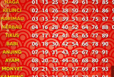 Tabel Shio Hari Ini 21 April 2024 Cek Bagaimana Keberuntungan Kamu di Sini Sebelum Memulai Hari