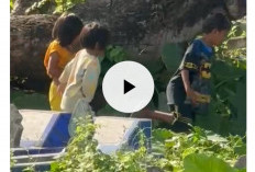 Link Video Bocil Lagi Anu di Kuburan Durasi 41 Detik Viral di Mediafire, Aksinya Bikin Geleng Kepala!
