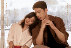 Sinopsis Drama China Road Home (2023), Ketika Cinta Pertama Menemukan Jalan Untuk Kembali
