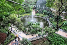 Mengenal Taman Flora Surabaya, Cocok Untuk Pinknik Bareng Keluarga dengan Nuansa Alam yang Indah