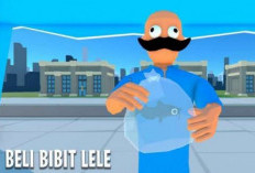 Download Game Aku si Peternak Lele APK V1.2 2023, Install Dengan Mudah di Sini!