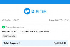 Cara Membedakan Bukti Transfer Aplikasi DANA yang Palsu dan Asli, Perhatikan Beberapa Detail Ini! 