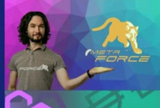 Metaforce Penipuan atau Bukan? Investor Harus Tahu Skema Ponzi dan Scam Resmi Dari OJK