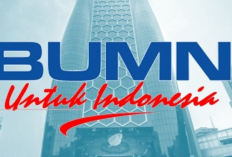 Daftar Lowongan Kerja Sepi Peminat di Perusahaan BUMN 2024, Peluang Kerja Besar!
