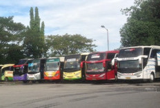 Jadwal Bus Bojonegoro - Bungurasih Terbaru 2024 Dan Harga Tiket Terbaru: Panduan Lengkap untuk Perjalanan Anda