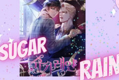 Synopsis et Lire le Manhwa Sugar Rain BL Scan VF Chapitre Complet Heure et où lire?