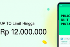 Pinjaman Online Pintar Cair Apk 2023 Apakah Aman? Begini Kata Menteri Keuangan dan OJK