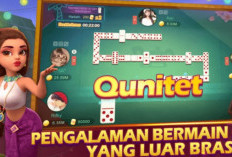 Link Mitra Higgs Domino Apk Terbaru 2024 Langsung Saja Cek Update Terbarunya Di Sini 