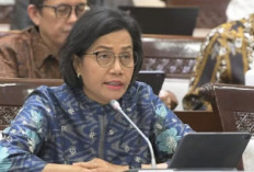 Berapa Uang Lauk Pauk PNS Daerah 2024? Kabar Baik Untuk Pegawai Negeri, Nominalnya Bikin Bahagia
