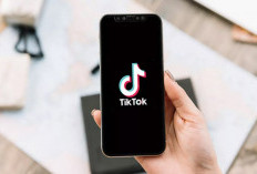 FYP Viral! Cek Jam Posting Konten TikTok 19-20 Januari 2024, Dapatkan Pengikut Baru Biar Makin Eksis!