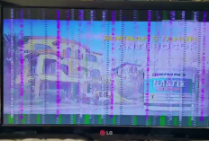 Penyebab LED TV Bergaris, No 1 Sering Terjadi! Atasi Dengan Cara Berikut Ini Dijamin Berhasil