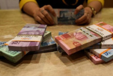 Aplikasi Anker Penghasil Uang Apakah Amandan Benar Membayar? Cek Skema Cara Kerjanya!
