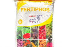 Harga Pupuk Fertiphos Kuning dan Hijau 2023, Bisa Langsung Dibeli Di Toko Tanaman Terdekat!