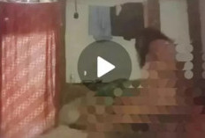 Viral Hubungan Inses Ibu dan Anak di Kuningan Direkam oleh Keponakan, Ternyata Niatnya Mau Dijual