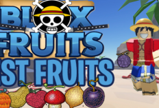 Kumpulan Kode Redeem Blox Fruits 3-4 Maret 2024, Edisi Terbatas! Langsung Gas Ambil Sekarang