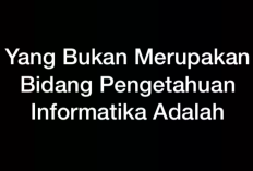 Yang Bukan Merupakan Bidang Pengetahuan Informatika Adalah Apa? Simak Jawaban Lengkapnya Disini!