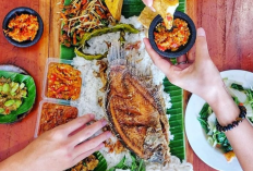 Cabang Lesehan Aldan Semarang, Cocok Untuk Kuliner Ria Bersama Keluarga