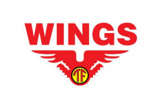 Contoh Surat Lamaran Kerja PT Wings Food Terbaru Tahun 2023, Unduh Formatnya di Sini Buat Apply 