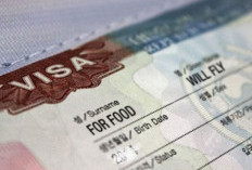 Surat Keterangan Kerja Untuk Pengajuan Visa, Perhatikan Contohnya Ya!