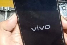 Jangan Panik! HP Vivo Stuck di Logo Apa Penyebab dan Cara Untuk Mengatasinya, 100% Work!