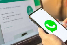 Download Aplikasi Sadap WA Tanpa Scan Barcode 2024, Jarak Jauh Aman Tak Akan Ketahuan!