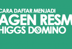 Syarat dan Ketentuan Jadi Agen Higgs Domino Island, Banyak Untungnya Namun Tidak Semuanya Bisa! 