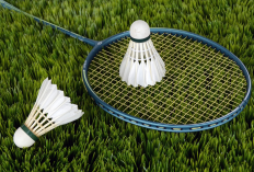 Lapangan Badminton Banjarmasin Terdekat dengan Lokasi Saya Saat Ini, Dilengkapi dengan Informasi Kontak