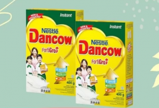 Perbedaan Susu Dancow Instant dan Full Cream, Kenali Dulu Hal Hal Berikut Ini!