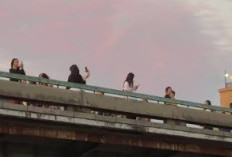 Heboh Netizen Berburu Link Download Skandal Kenshusei Celana Biru Kenali Fakta Mengejutkan Di Balik Layar Yang Sebenarnya