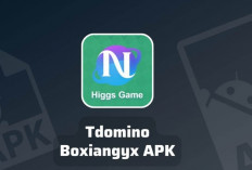 Cara Daftar Mitra Higgs Domino Melalui Tdomino Boxiang Terbaru 2023, Berikut Kelebihan yang Didapatkan!