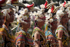 Suku-Suku di Pulau Kalimantan dan Penjelasannya, Ternyata Tak Hanya Dayak dan Banjar