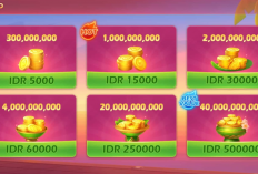 Top Up Chip Boss Domino QiuQiu Termurah 2024, Dijamin Aman! Main Slot Makin Nyaman