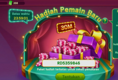 Kode Hadiah Royal Domino Mei 2024 Terbaru dan Keuntungannya, 30 Juta Chip Langsung Didapat!