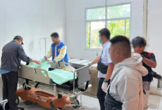 Heboh! 3 Pegawai Dinas Pertanian Tewas Ditembak KKB, Amran Soroti Tugas di Papua