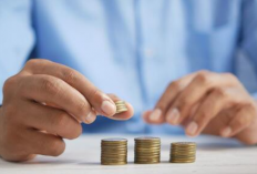 Apa Itu Website Investasi PDO Indonesia? Buat yang Kepo Liat Disini Yuk!