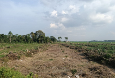 2 Cara Menghitung Luas Tanah Mudah dan Akurat, Cek Langkah Langkah nya Sebelum Bangun Rumah