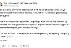 Informasi Loker PT Megah Asia Industrindo Waspada Penipuan, Cek Fakta Kebenarannya Hanya Disini! 