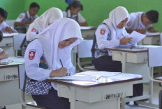 15 Kumpulan Soal Olimpiade Biologi Tingkat SMP MTS, Dilengkapi dengan Kunci Jawaban!